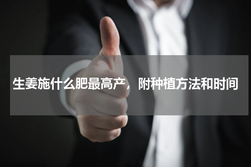 生姜施什么肥最高产，附种植方法和时间
