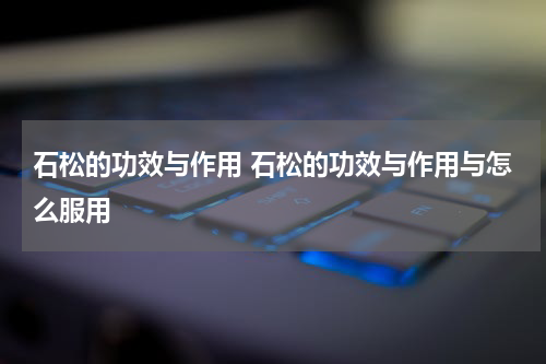 石松的功效与作用 石松的功效与作用与怎么服用