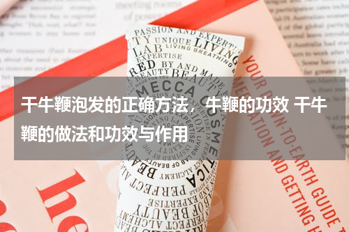 干牛鞭泡发的正确方法，牛鞭的功效 干牛鞭的做法和功效与作用