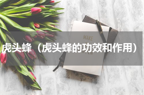 虎头蜂（虎头蜂的功效和作用）