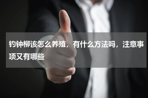 钓钟柳该怎么养殖，有什么方法吗，注意事项又有哪些