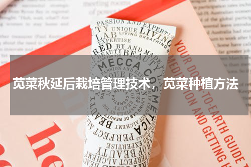 苋菜秋延后栽培管理技术，苋菜种植方法