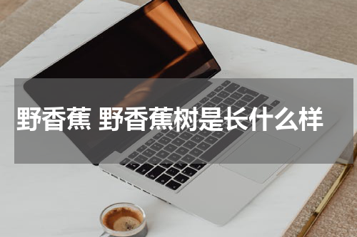 野香蕉 野香蕉树是长什么样