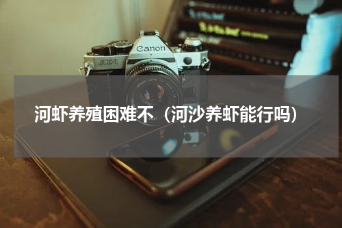 河虾养殖困难不（河沙养虾能行吗）