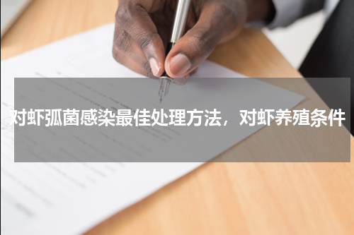 对虾弧菌感染最佳处理方法，对虾养殖条件