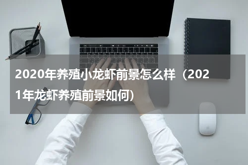 2020年养殖小龙虾前景怎么样（2021年龙虾养殖前景如何）