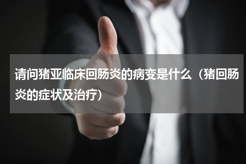 请问猪亚临床回肠炎的病变是什么（猪回肠炎的症状及治疗）