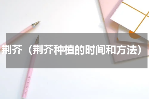 荆芥（荆芥种植的时间和方法）