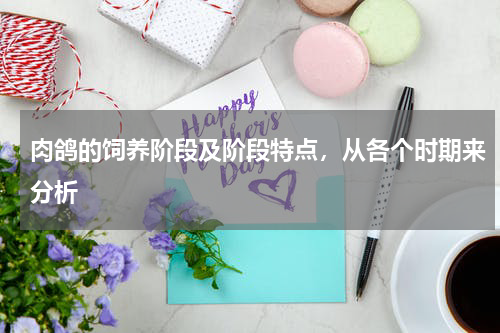肉鸽的饲养阶段及阶段特点，从各个时期来分析