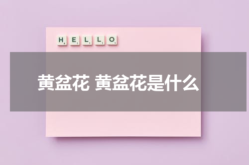 黄盆花 黄盆花是什么