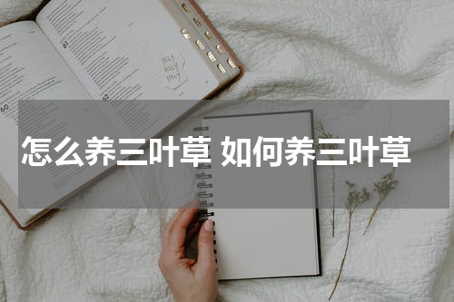 怎么养三叶草 如何养三叶草