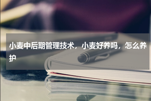 小麦中后期管理技术，小麦好养吗，怎么养护