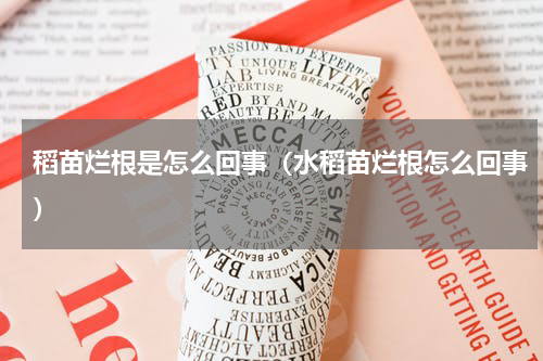 稻苗烂根是怎么回事（水稻苗烂根怎么回事）