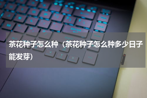 茶花种子怎么种（茶花种子怎么种多少日子能发芽）