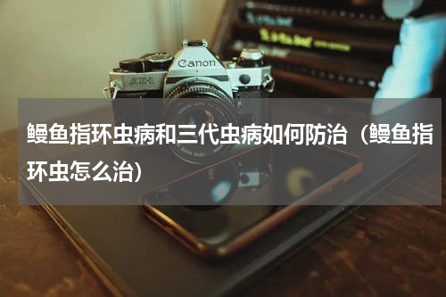 鳗鱼指环虫病和三代虫病如何防治（鳗鱼指环虫怎么治）
