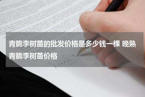 青脆李树苗的批发价格是多少钱一棵 晚熟青脆李树苗价格