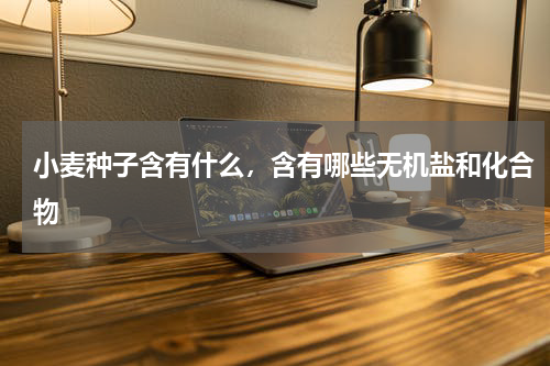 小麦种子含有什么，含有哪些无机盐和化合物