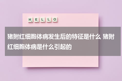 猪附红细胞体病发生后的特征是什么 猪附红细胞体病是什么引起的