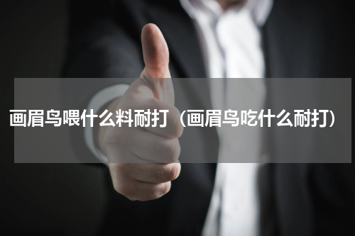 画眉鸟喂什么料耐打（画眉鸟吃什么耐打）