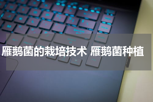 雁鹅菌的栽培技术 雁鹅菌种植