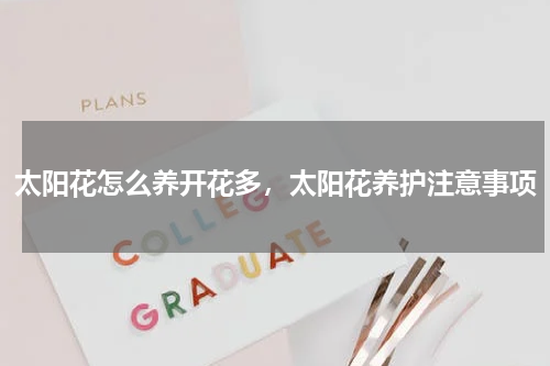 太阳花怎么养开花多，太阳花养护注意事项
