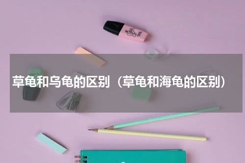 草龟和乌龟的区别（草龟和海龟的区别）