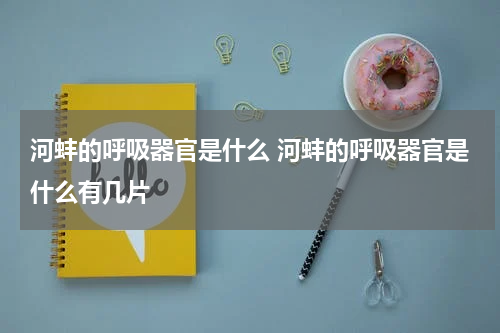 河蚌的呼吸器官是什么 河蚌的呼吸器官是什么有几片