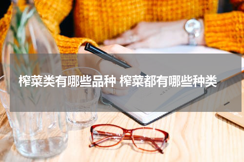 榨菜类有哪些品种 榨菜都有哪些种类