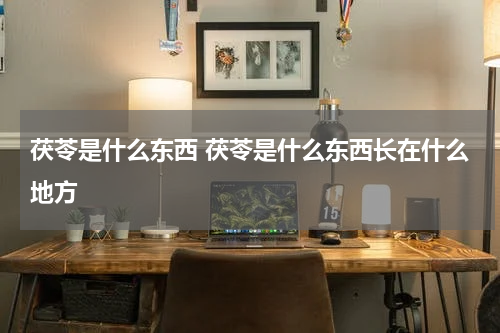 茯苓是什么东西 茯苓是什么东西长在什么地方