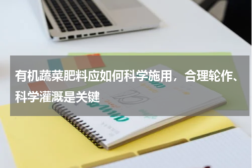 有机蔬菜肥料应如何科学施用，合理轮作、科学灌溉是关键
