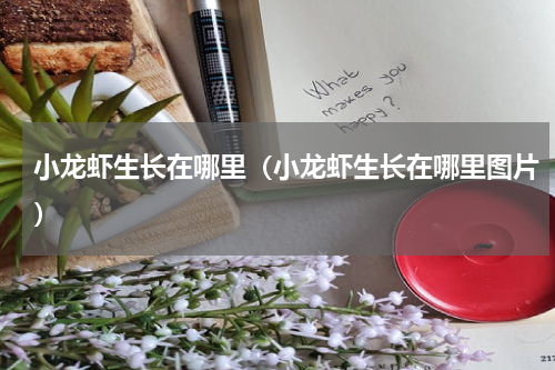 小龙虾生长在哪里（小龙虾生长在哪里图片）