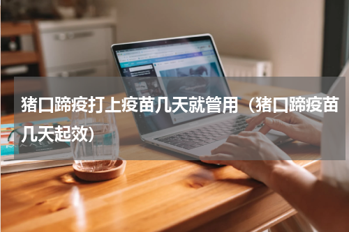 猪口蹄疫打上疫苗几天就管用（猪口蹄疫苗几天起效）