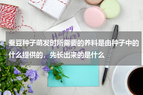 蚕豆种子萌发时所需要的养料是由种子中的什么提供的，先长出来的是什么