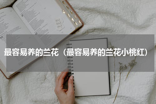 最容易养的兰花（最容易养的兰花小桃红）