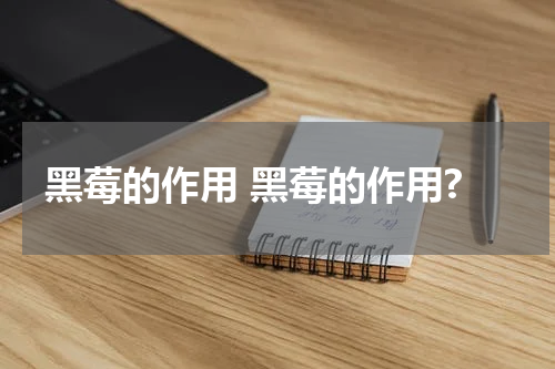 黑莓的作用 黑莓的作用?