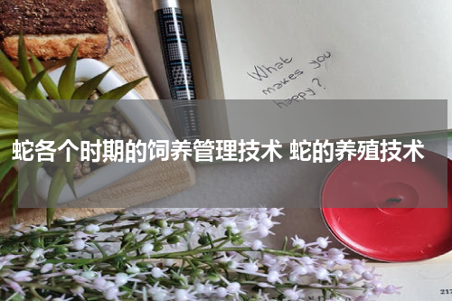 蛇各个时期的饲养管理技术 蛇的养殖技术