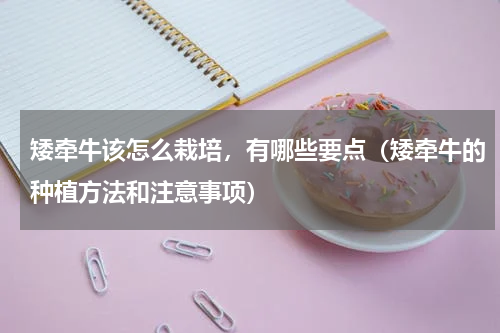 矮牵牛该怎么栽培，有哪些要点（矮牵牛的种植方法和注意事项）
