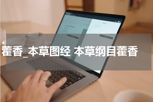 藿香_本草图经 本草纲目藿香