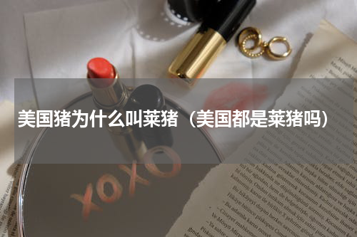 美国猪为什么叫莱猪（美国都是莱猪吗）