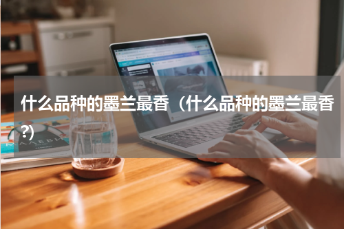 什么品种的墨兰最香（什么品种的墨兰最香?）