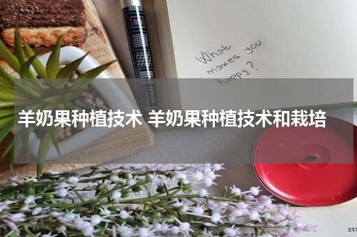 羊奶果种植技术 羊奶果种植技术和栽培