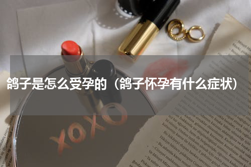 鸽子是怎么受孕的（鸽子怀孕有什么症状）