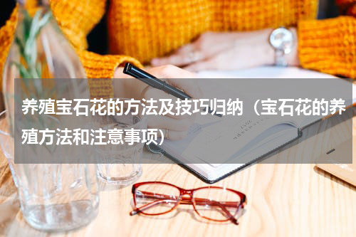 养殖宝石花的方法及技巧归纳（宝石花的养殖方法和注意事项）