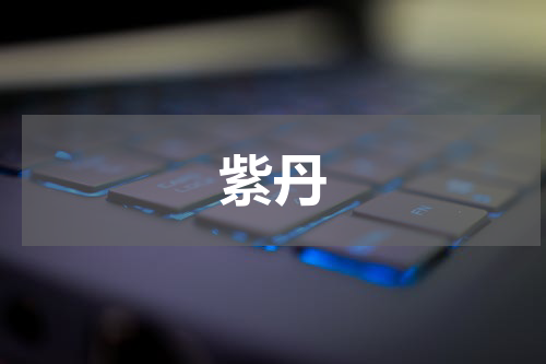 紫丹