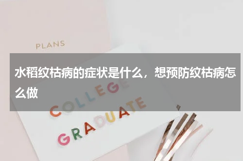 水稻纹枯病的症状是什么，想预防纹枯病怎么做