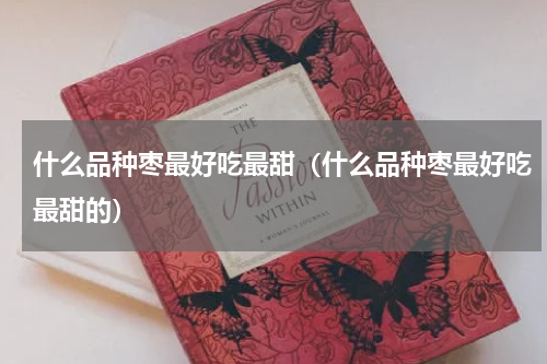 什么品种枣最好吃最甜（什么品种枣最好吃最甜的）