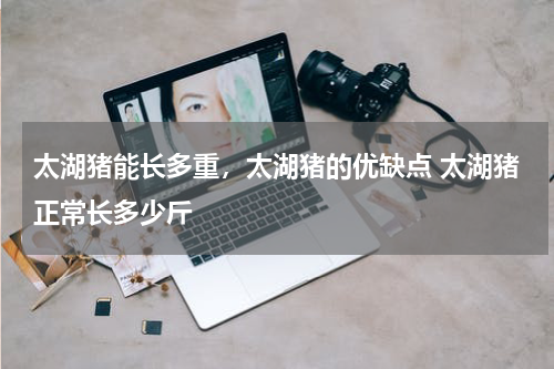 太湖猪能长多重，太湖猪的优缺点 太湖猪正常长多少斤