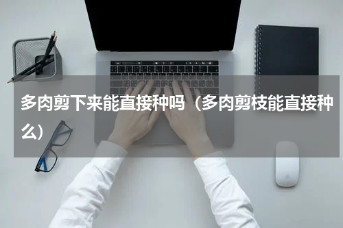 多肉剪下来能直接种吗（多肉剪枝能直接种么）