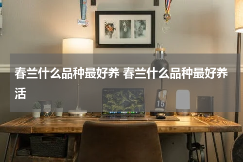 春兰什么品种最好养 春兰什么品种最好养活