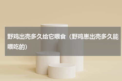 野鸡出壳多久给它喂食（野鸡崽出壳多久能喂吃的）